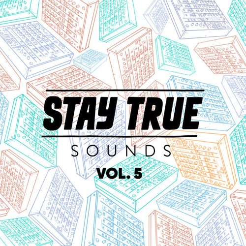 VA - Stay True Sounds Vol. 5 Compiled by Kid Fonque [STS156]